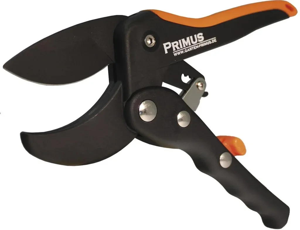 Ladies' ratchet scissors