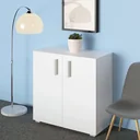 Multifunctional cabinet white - 2 compartments