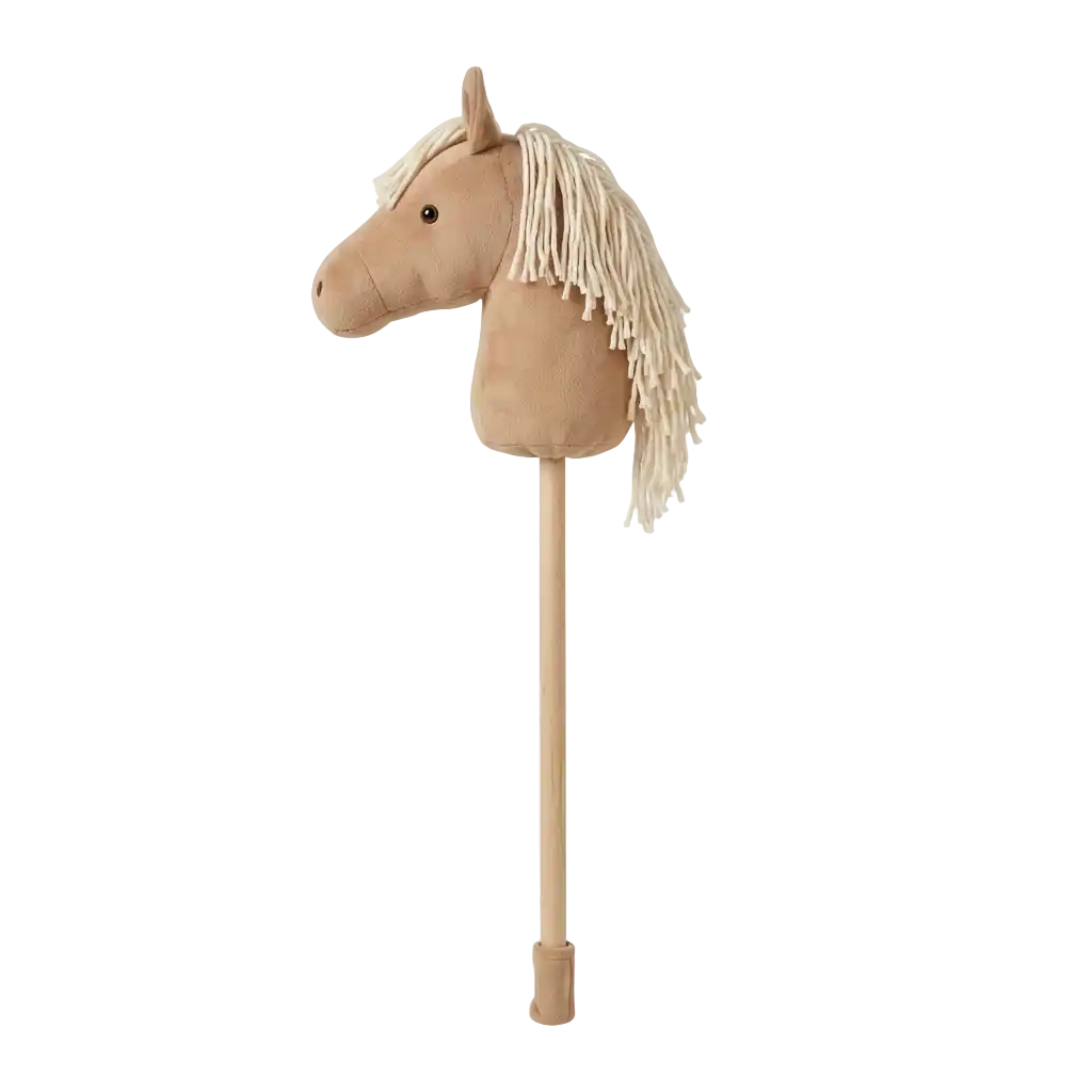 Image Hobby Horsing - Chevaux bâtons