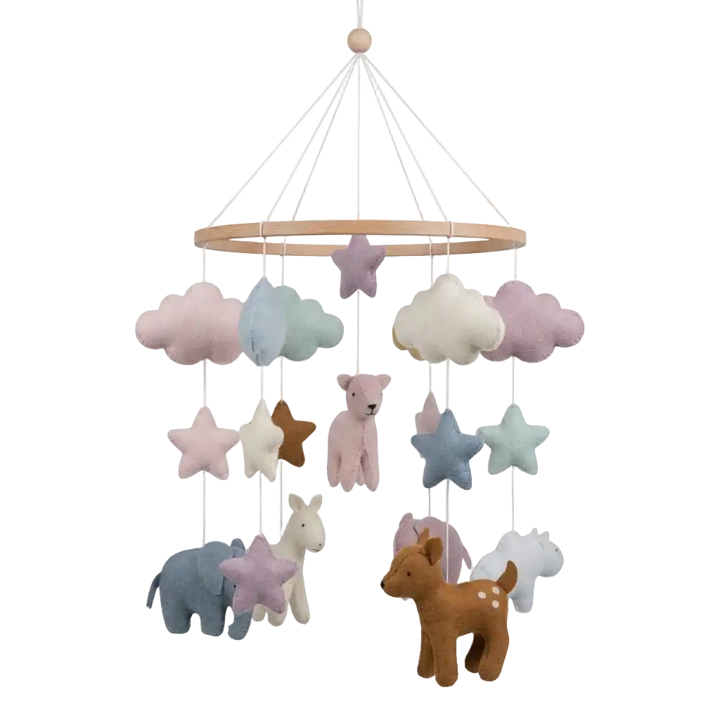 Image Mobiles Sebra