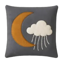 Image Coussin Taftan