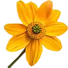 Image Engrais pour fleurs + plantes