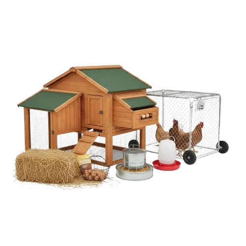 Image Chicken Farming