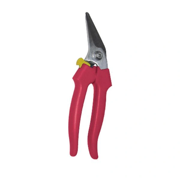 Image Bone Saws