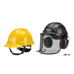 Image Head Protection