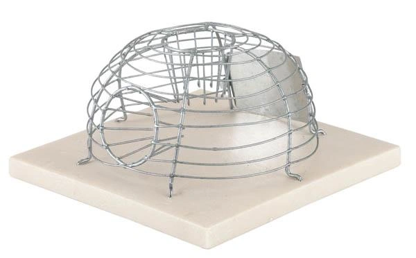 Image Live Traps