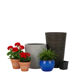 Image Plant Pots, Flower Pots