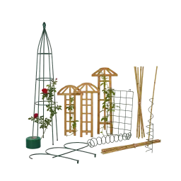 Image Trellises