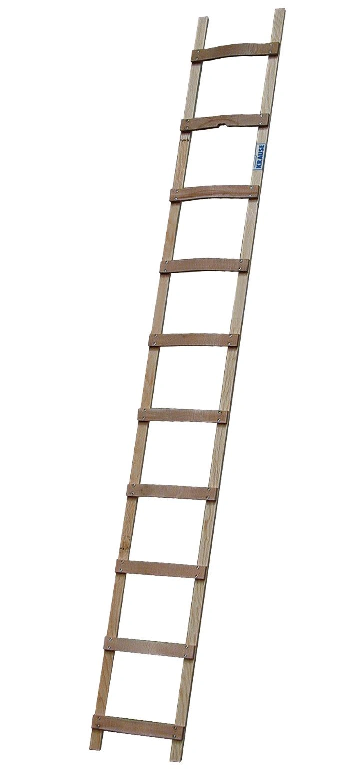 Image Roof Ladders