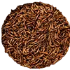 Image Larves de la mouche soldat