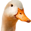 Image Gänsefutter