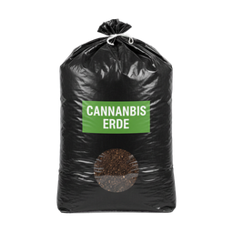 Image Cannabis Erde