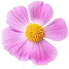 Image Sofortwirkung