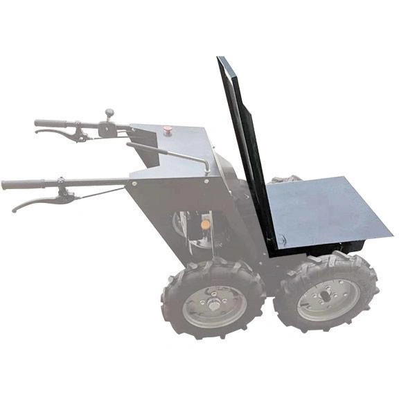 Image Dumper Groß