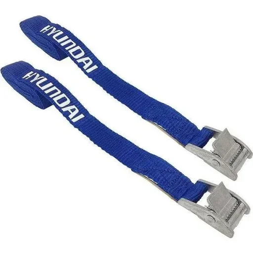 "Lashing strap with buckle 2.5 meters x 25 mm - 2 pieces - 250 kg - GS / TUV image"