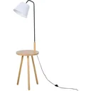 Floor lamp for the living room