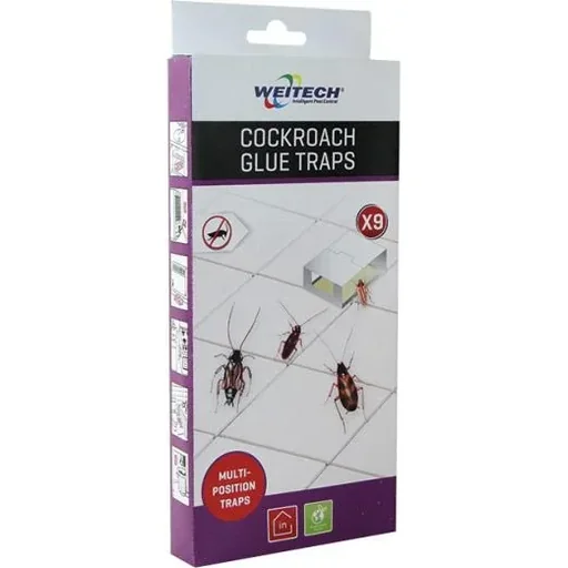 "Cockroach glue trap image"