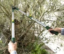 Telescopic branch and hedge trimmer, 63-91 cm