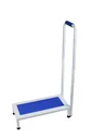 Step with handle