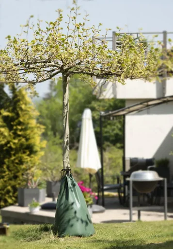 "PVC tree watering bag 76 liters image"
