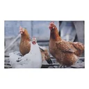 Doormat with photo print