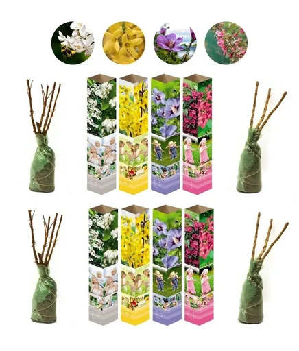 "Blooming set of 8 ornamental shrubs 50 - 70 cm image"