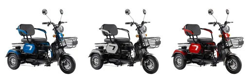 "3-Rad E-Car Speed ​​6 km/h: 48V/20Ah Blei-Gel, silver image"