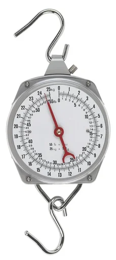 "Pointer scales up to 250 kg, line division 1 kg, 1 S-hook image"