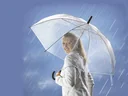 Transparent umbrella