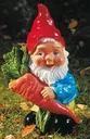 Dwarf with turnip 26 cm