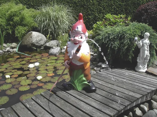 "Large dwarf 86 cm with garden hose image"