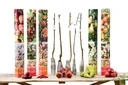 Flower-up set with 5 fruit trees 90 - 100 cm