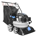 Aspirateur de feuilles 4 en 1 "GFLS 1700"