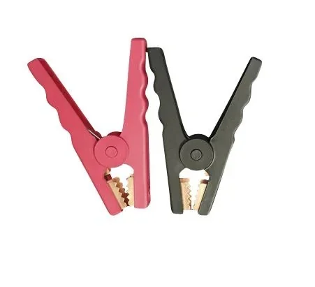 "Chargeur de batterie numérique GDB 24 Volt / 12 Volt -250 image"