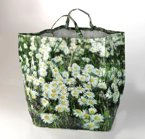 "Garden waste bag 80 L Daisy image"