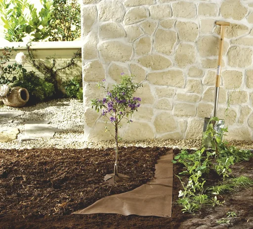 "Toile de paillage biologique, 3 x 10 m – qualité professionnelle image"
