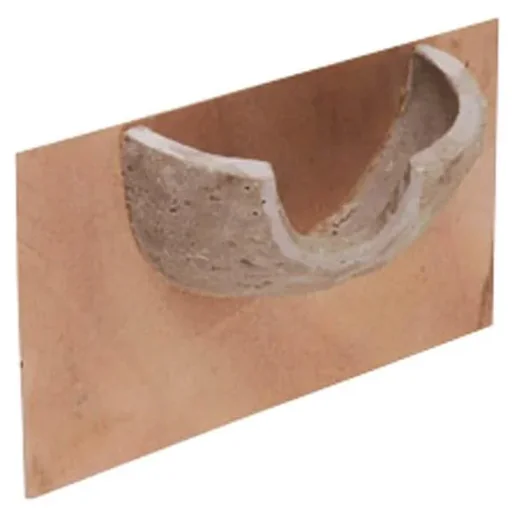 "Nid d'hirondelle image"