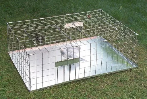 "Live trap for pigeons - suitable for multiple capture image"