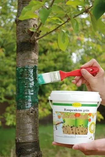 "Colle anti-chenilles 1 kg - protection idéale pour vos arbres image"