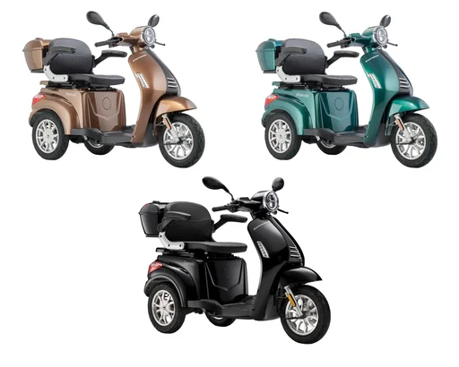 "E-tricycle Teutoburg Detmold, 20 km/h (moped class), front disc brake, LED light, top case, no helmet required, black image"