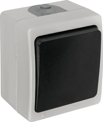 "Surface-mounted damp room earthed socket 1-way with hinged cover, 2-pole image"