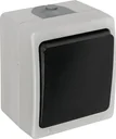Surface-mounted damp-proof socket 2-way with hinged cover, horizontal