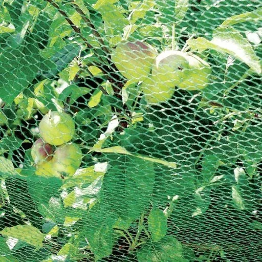 "Bird protection net - 2 x 5 m image"