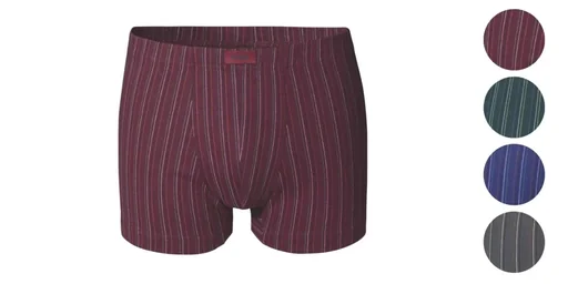 "Retro shorts in a pack of 4, assorted colors, size 6 image"