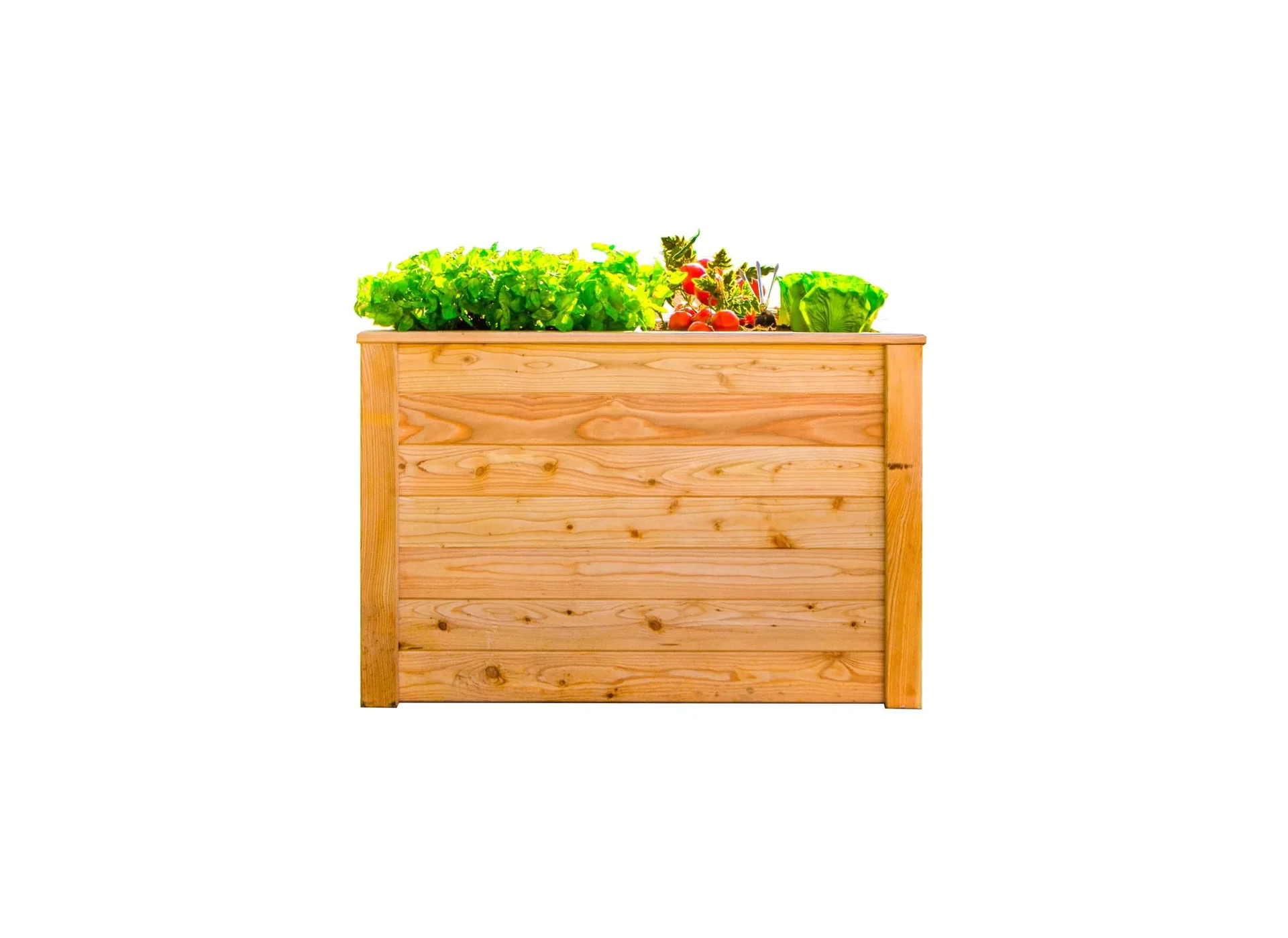 Carré potager surélevé Klassik 100, 100×65×66 cm, Naturel – Mélèze certifié FSC, ménage le dos