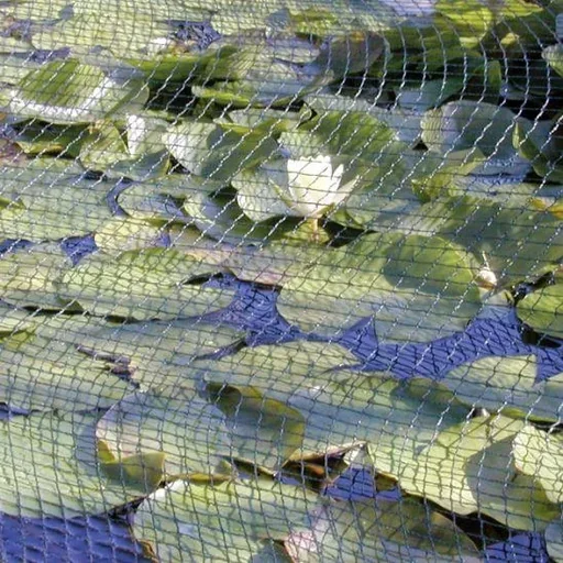"Leaf protection net - 2 x 3 m image"