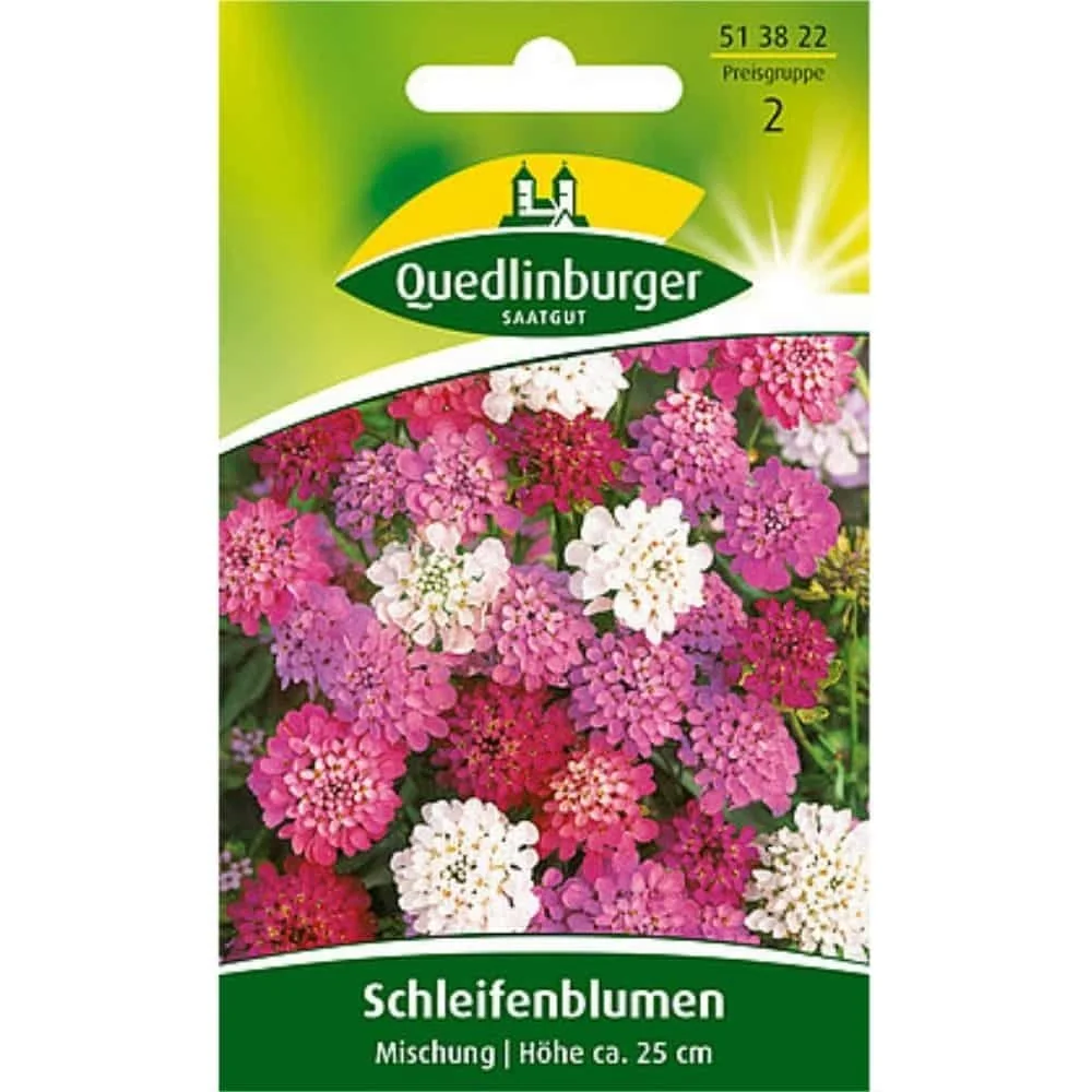 "Mélange de Némésies Variées, Fleurs d'Été Annuelles pour Jardin et Rocaille image"