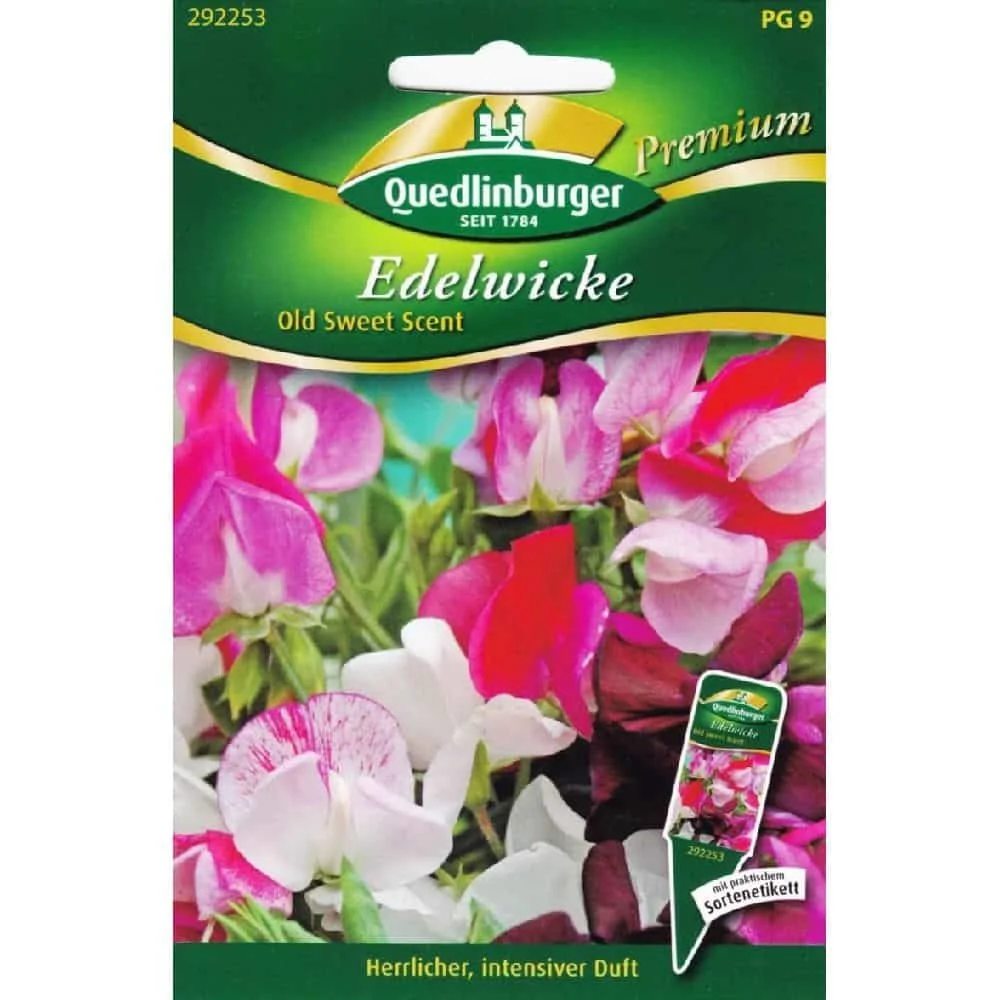 "Acheter Pois de Senteur, Graines Grimpantes Annuelles image"