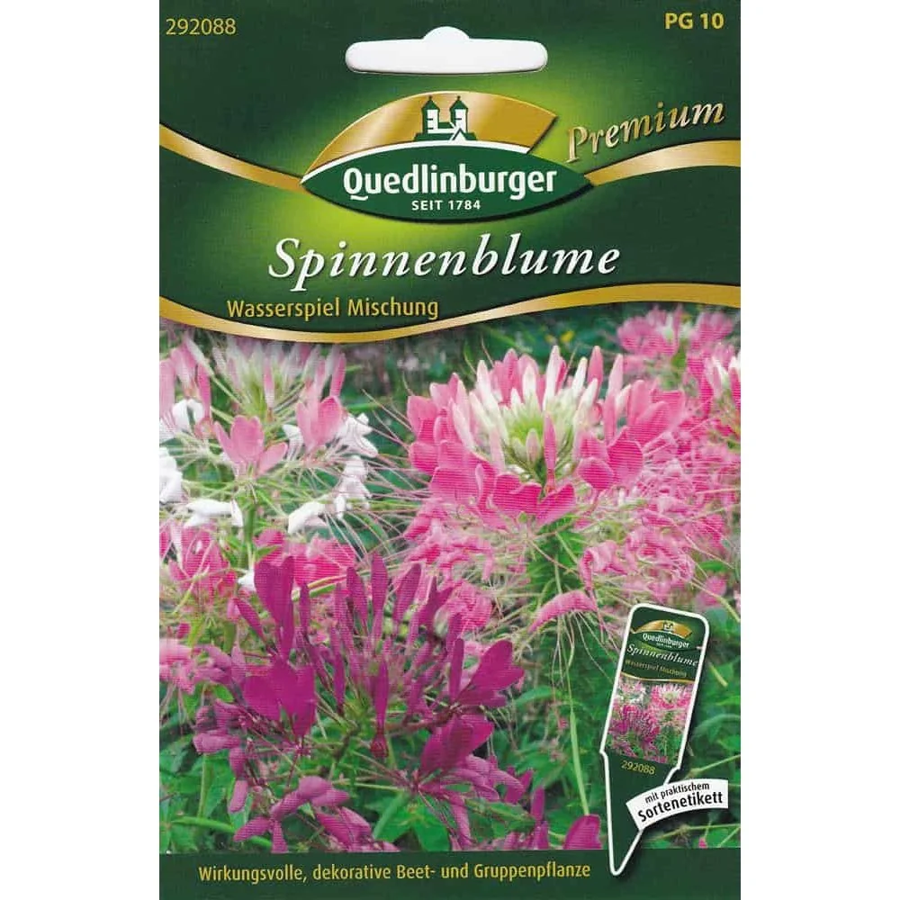"Cleome, mélange de fontaines aquatiques image"