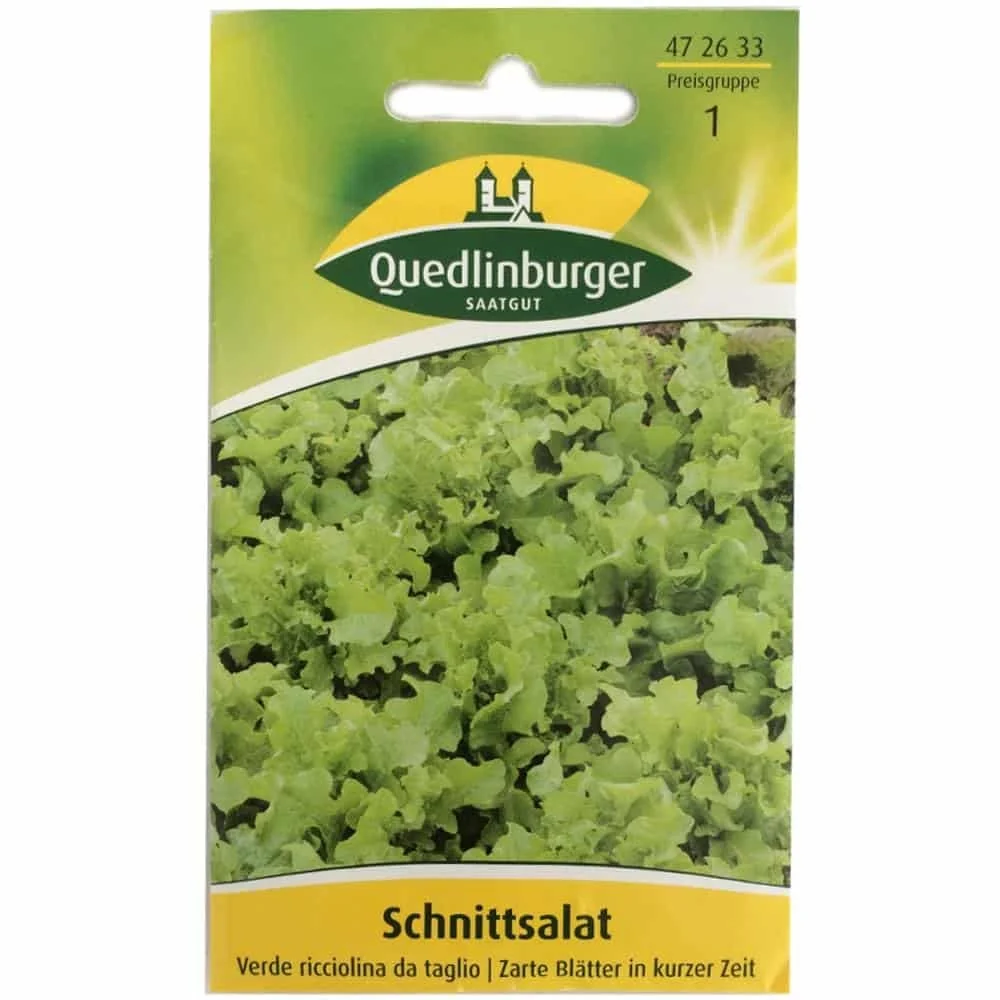 "Salade à couper, Verde ricciolina image"